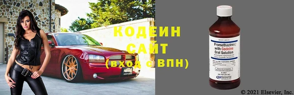 стаф Абаза