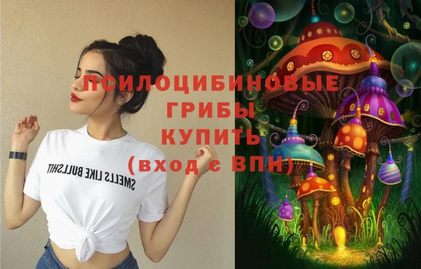 ALPHA PVP Алексеевка