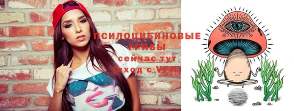 стаф Абаза