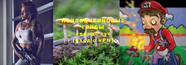 мдма Няндома