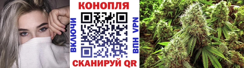 Марихуана план  Хадыженск 